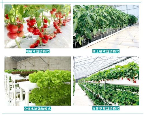 重楼种植的地理适应性探讨