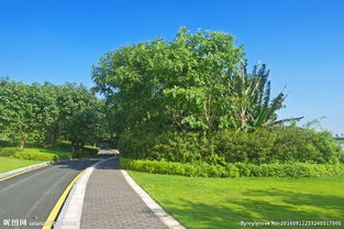 标题党来了泉州园林景观公司，特色植物选哪样？