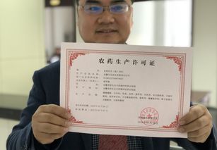 两者区别：驾驶证和身份证