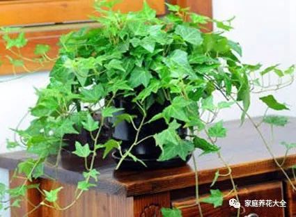 土壤搭配，关键在细节