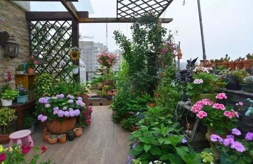 Q：封闭阳台真养不好花？