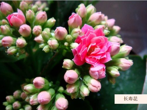 低温处理， 高温与低温相结合