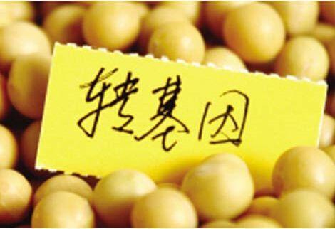 大豆到港最新消息，请问目前进口豆粕价格是多少一吨？