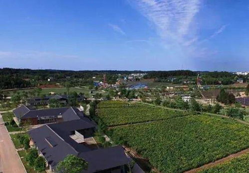 植物与景观设计：和谐共生