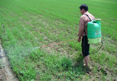草干膦除草剂使用攻略