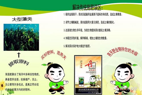 如何根据作物需求和土壤状况合理施肥