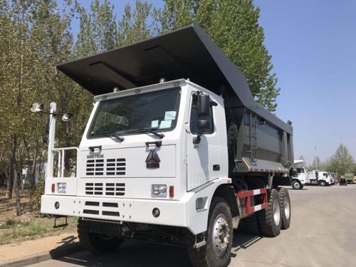 大型爬山虎的价格探秘