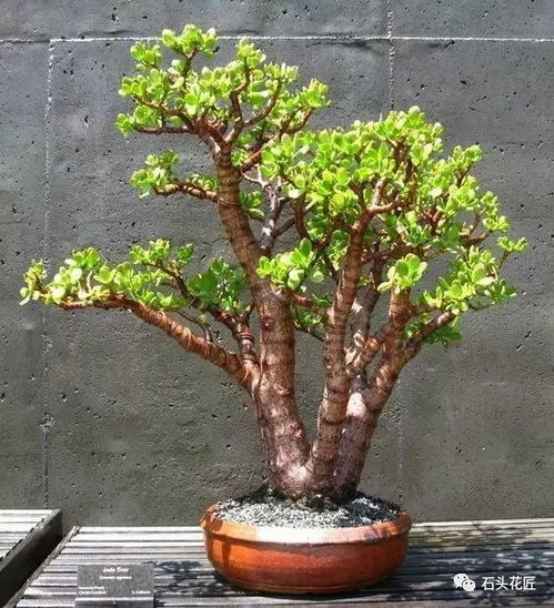 养护误区大揭秘