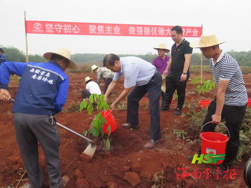 树苗听蒙古长调嫩提高成活率？神了！