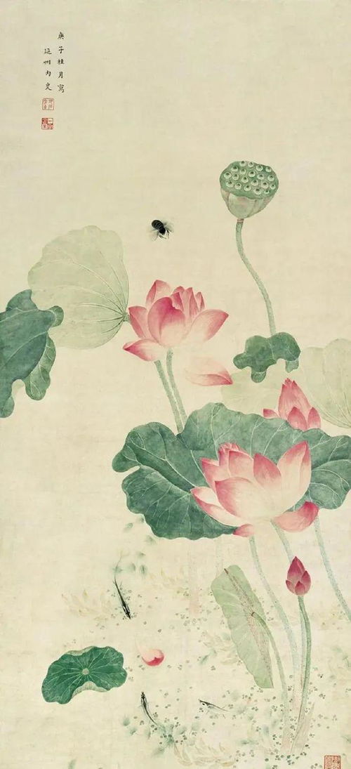 荷花象征纯洁，还有什么寓意呢