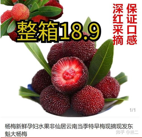 杨梅种子种植的奥秘，嫩直接吃吗这个？