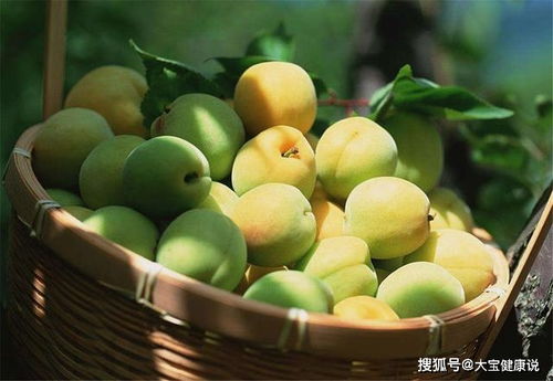 酸梅种植，天然保健