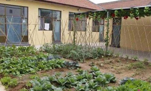 物业的态度，你考虑过吗？