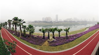 植物配置， 城市的绿色魔法师