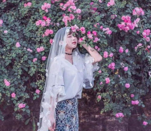 爬藤月季的特点