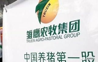 湖南快大百康饲料有限公司和广州快大饲料最近有哪些合作或新产品发布？