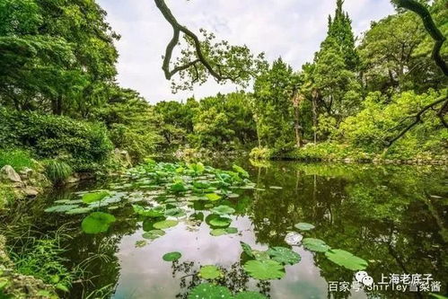 独特的立体花园