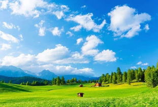 老李的“沙漠景观区”大冒险