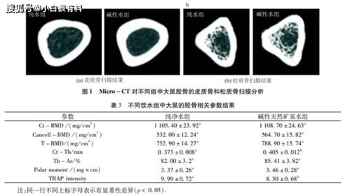 大鼠小鼠喂颗粒饲料真的省心？硬度选择误区如何影响实验数据，合格与劣质饲料对比表隐藏哪些关键？