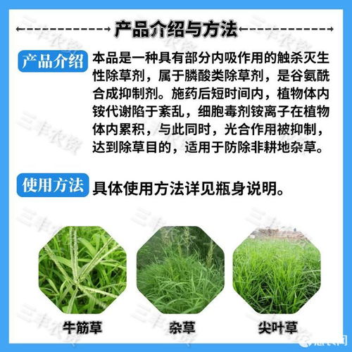 精草铵膦铵盐和草铵膦，哪种除草效果更佳？