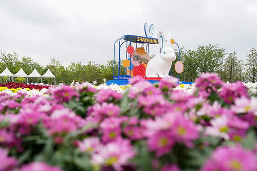 两者的区别与联系