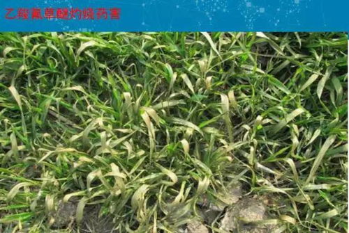 价格实惠，质量过硬