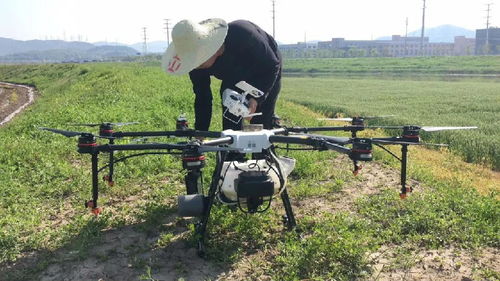 洗车机：洗车利器还是农药喷洒的替代品？