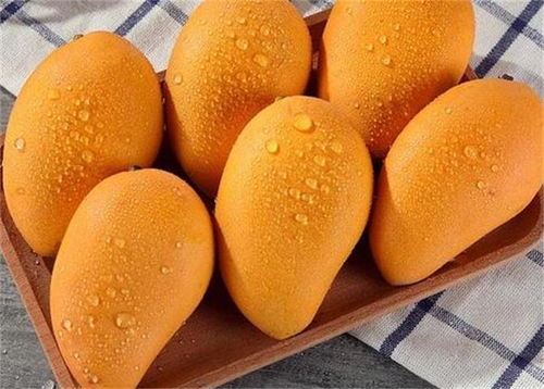 芒果怎么保存？有哪些小妙招能让它新鲜更久