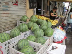 指甲花与西瓜的奇妙缘分