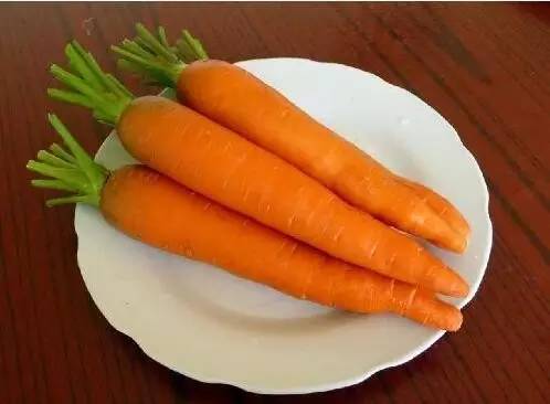 “四月份适合种植胡萝卜吗？有哪些种植方法需要注意