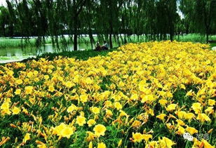 栽培管理小窍门