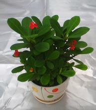 处理方法大揭秘