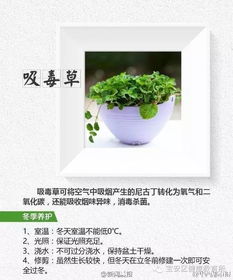 误区3：肥料大杂烩