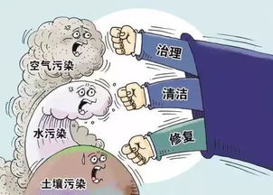 四、其他检查
