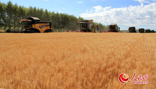 那怎么提高化肥农药利用率呢？