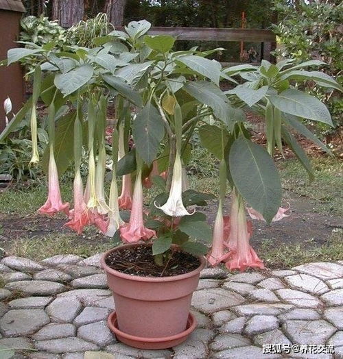 第一步：保暖大作战