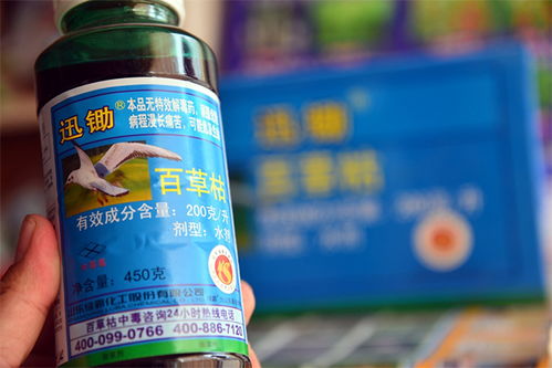 死亡率高得吓人，你敢信？