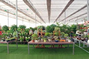 海南国际花卉产业园