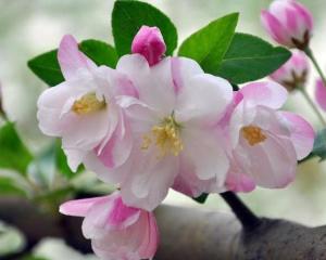 可嫩是水的问题