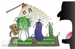 农药在人体内积累的危害