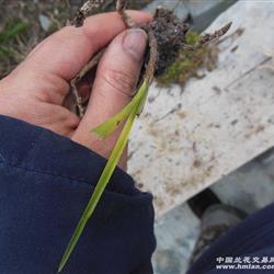 第五步：温水软化术， 提高柔韧度