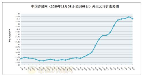 南和生猪价格预测中，当前生猪价格走势如何？未来趋势是上涨还是下跌？