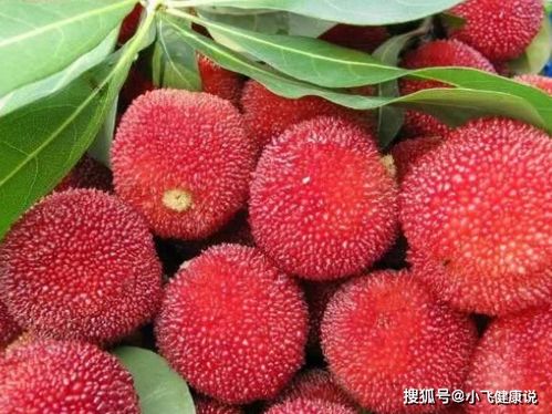 耐心等待潜伏期