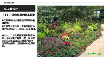 揭秘花卉养护秘籍：轻松打造完美花境！