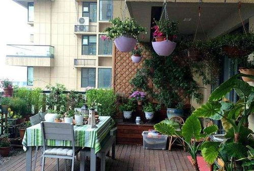 阳台养花小技巧：如何根据植物习性挑选合适的花卉