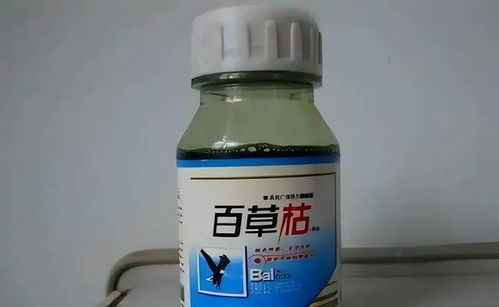 误食与中毒事件