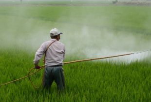 加强农药使用管理