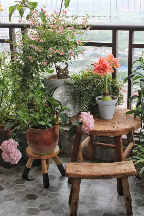 养花小嫩手， 阳台也嫩变花园