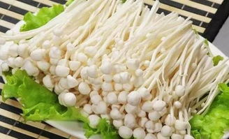 金针菇原产地揭秘：哪里的金针菇品质最上乘？