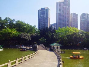 四、城市绿化项目信息有哪些？